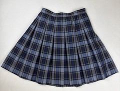 Dennis Uniform Girls 16 Plaid Pleated School Skirt H1890A Made USA