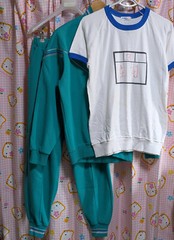 SW65 ^_^ Japanese SchoolGirl Athletic Gym Jersey PE Set. Excellent Cond. L~LL