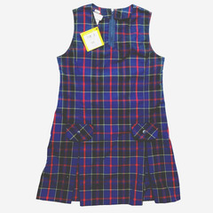 Dennis Uniform Dress G10 V-Neck Jumper Dropped Wilson Plaid