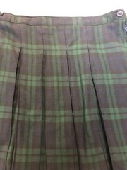 LANDS END School Uniform Box Pleated Skirt Girls 16 Classic Navy Evergreen Plaid