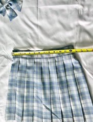 Japanese-Style Plaid Pleated Skirt
