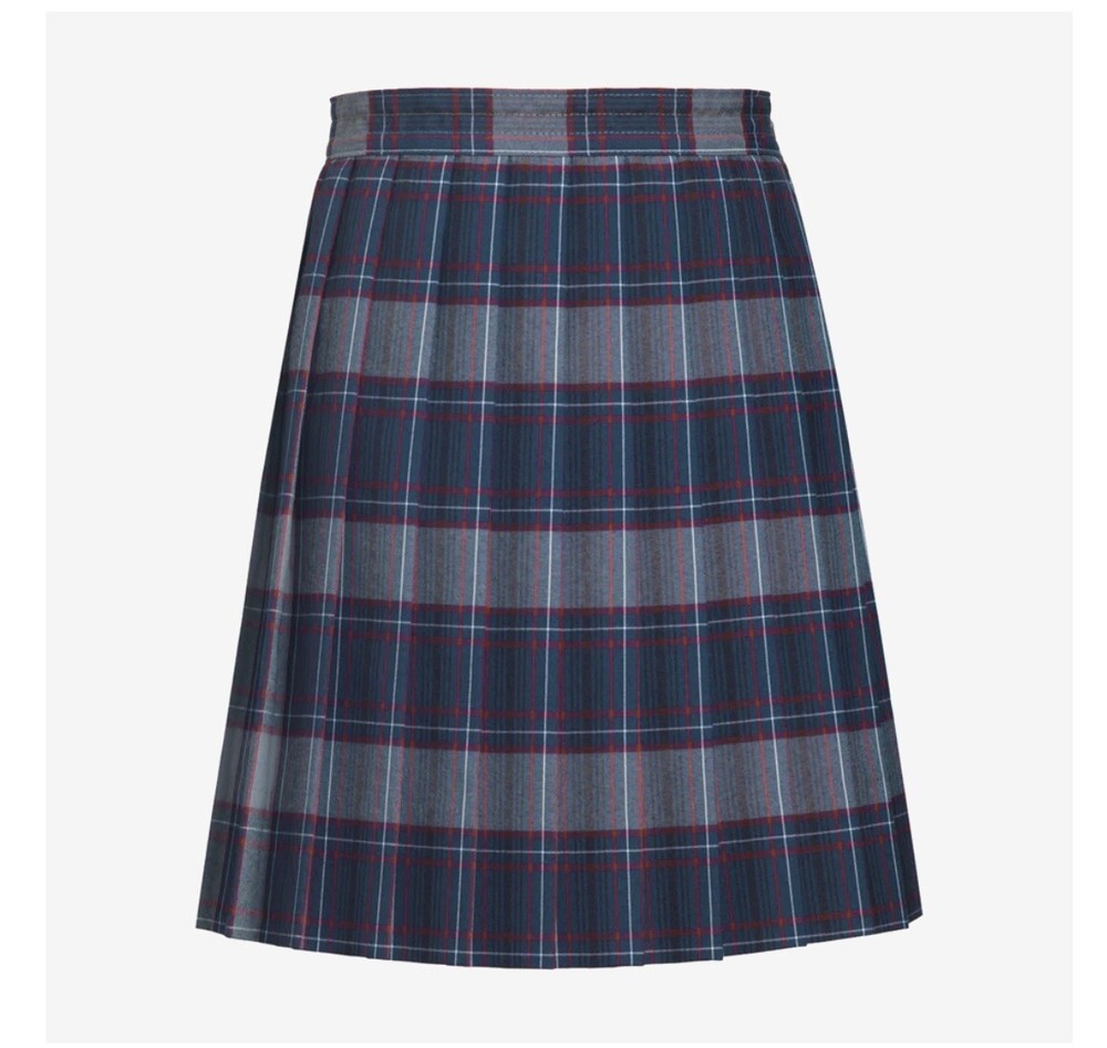 Dennis Junior Plaid Skirt, Knife Pleat Skirt Fits A Size 10 24-26 inches, blue